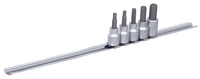 Set de capete chei tubulare 3/8" pe șina - 238HHXP5