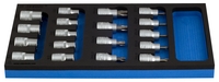 Set capete chei tubulare cu profil TX - 964/16SOS